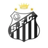 Santos Futebol Clube Torcedor