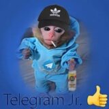 Telegram Jr Definitive